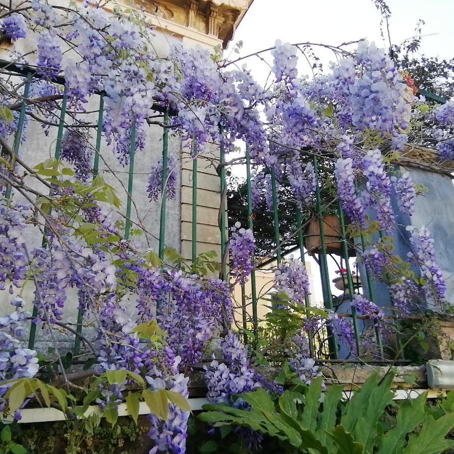 Villa Manasse Aci Castello Εξωτερικό φωτογραφία